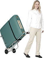 Table Cart